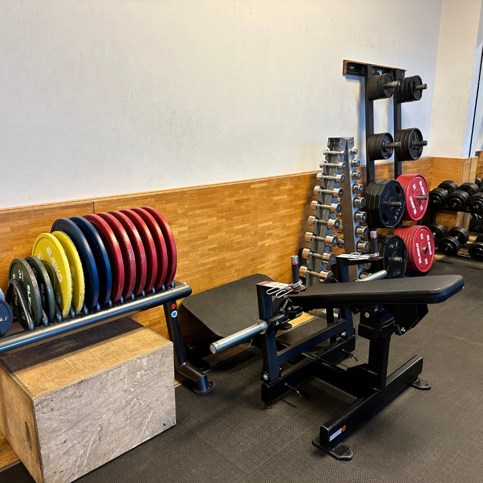 Gewichtsscheiben und Hanteln im TU-Fitness-Studio